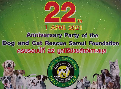 22 years Dog and Cat Rescue Samui